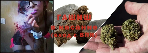стаф Нея