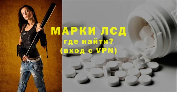 твердый Новозыбков