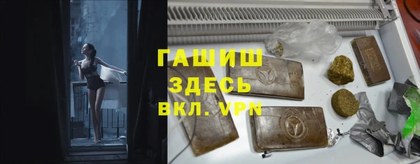 стаф Нея