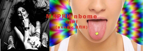 стафф Новый Уренгой