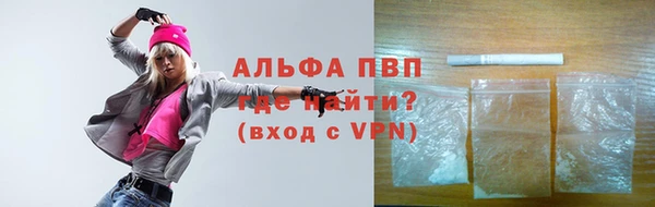 твердый Новозыбков