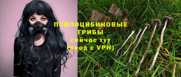 альфа пвп Нефтегорск